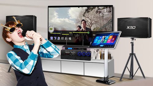 炫寶迪點歌機哪款型號更優？音質效果與評測全面解析